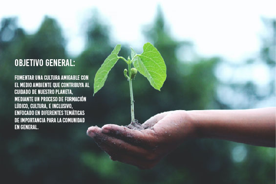 OG Escuela Ambiental