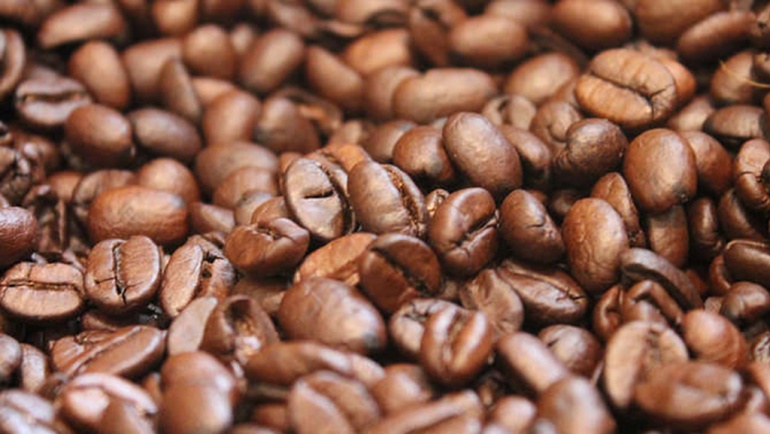 Abierta la convocatoria para el reto Coffee Pickinn