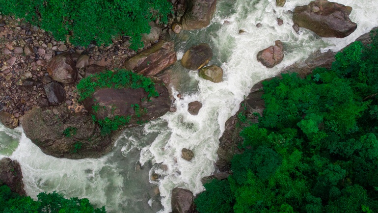 Diagnóstico de reserva protectora productora cuenca alta río Bogotá