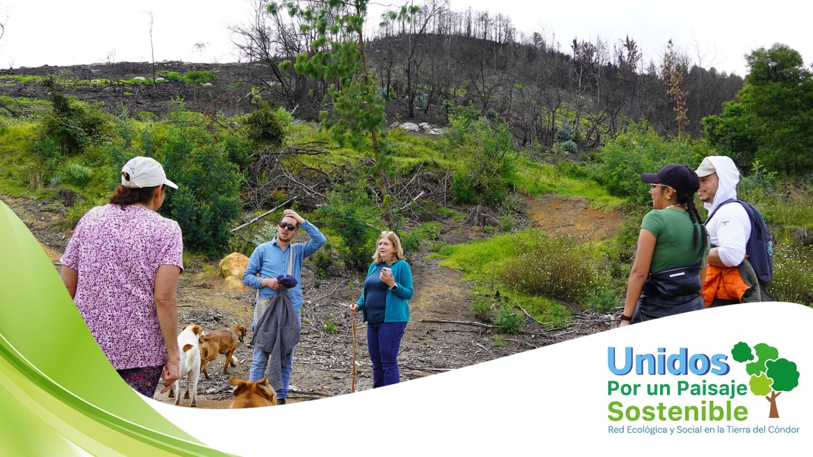 Visita a los predios afectados por los incendios forestales que se presentaron en Sabana Centro al inicio del año.