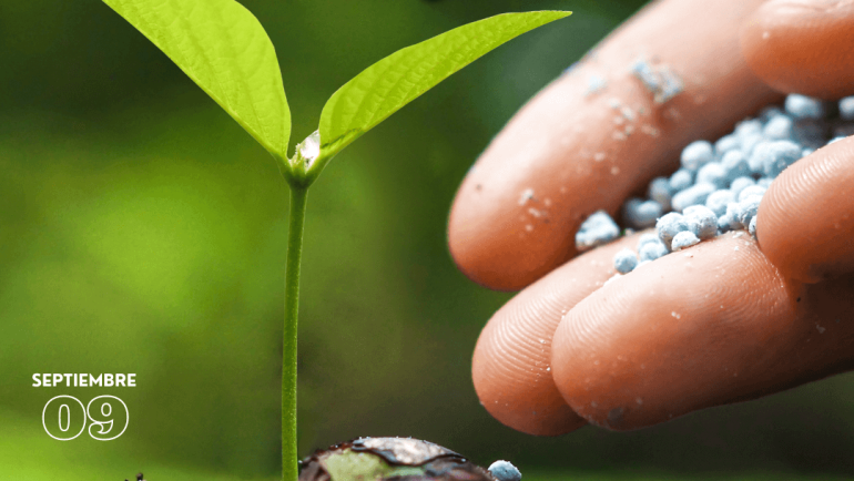 Día Mundial de la Agricultura