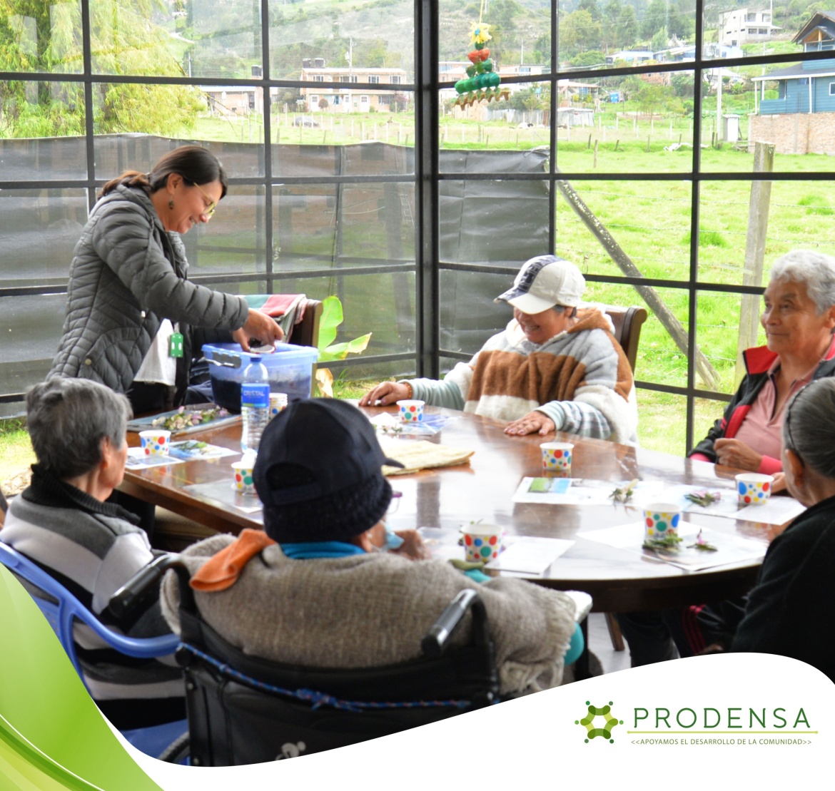 Un Día de Alegría y Creatividad con Nuestros adultos mayores