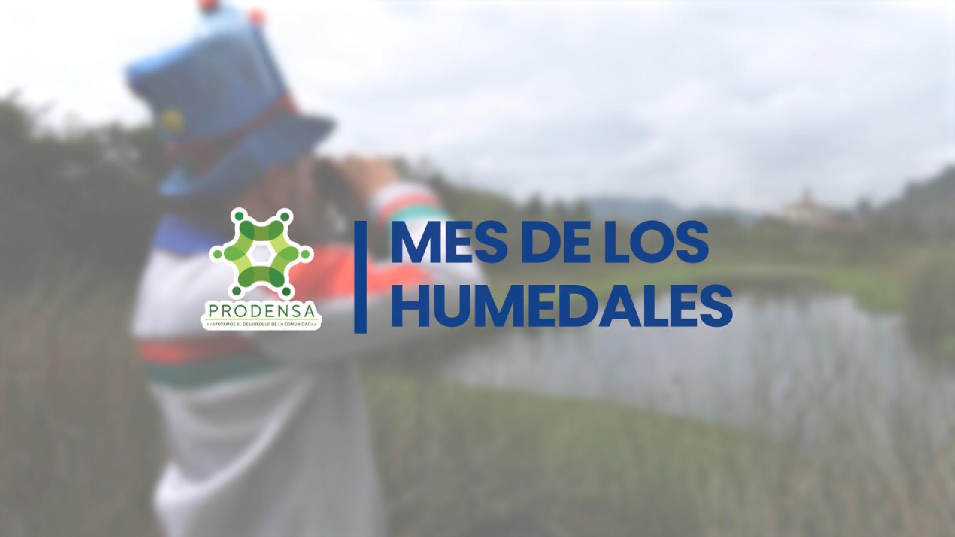 ¡Seguimos conmemorando el #MesDeLosHumedales!